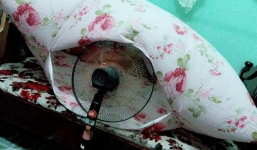 Những bí kíp chống nóng ngày hè của cư dân mạng: Hơi bất tiện nhưng mát là được