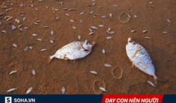 2 mẩu chuyện kinh điển về giáo dục, thiết nghĩ mọi bố mẹ và giáo viên Việt Nam đều nên đọc