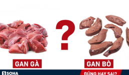 Gan gà, gan lợn, gan bò, gan cá - gan nào tốt nhất: Tiến sĩ Mỹ giải thích 'cực chuẩn