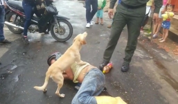 Người đàn ông say rượu nằm giữa đường, nhưng phản ứng của chú chó mới là điều gây sốt