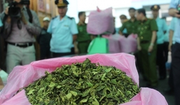 Lá Khát - loại ma túy mới độc hại mạnh gấp 500 lần thông thường vừa nhập lậu vào cảng Hải Phòng