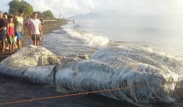 7 ngày qua ảnh: Dân Philippines hoang mang vì xác quái vật bí ẩn