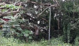 Bị vu trộm điện thoại, người đàn ông uất ức treo cổ tự tử