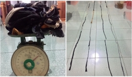 1,4kg cua thì dây nặng 7 lạng, đây đích thị là giao dịch mua dây tặng cua 'hời' nhất thế giới rồi