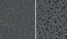 Công trình của thiên tài mật mã Alan Turing lại một lần nữa cứu được hàng triệu người