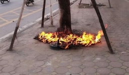 Hà Nội: Khẩn trương điều tra vụ hủy hoại cây xanh trên đường Võ Chí Công