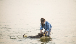 Nắng nóng oi bức, người dân Thủ đô bế chó cưng ra Hồ Tây cùng tắm để giải nhiệt dù có biển cấm