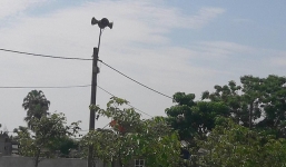 Loa phát thanh bị nhiễm sóng lạ của nước ngoài