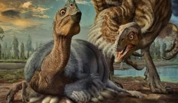 Hỏi khó: Vì sao khủng long nặng hàng tấn vẫn có thể ung dung ngồi ấp mà không sợ làm vỡ trứng phía dưới?