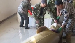 Bắt được 'thuỷ quái' cá tầm gần 100 tuổi, dài 3m nặng nửa tấn