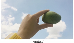 Góc bậc thầy thả thính: Cô gái trẻ dùng đủ loại trái cây thay lời yêu gửi cho crush