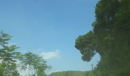 Thanh Hóa: Phát hiện dấu chân hổ xuất hiện gần khu dân cư