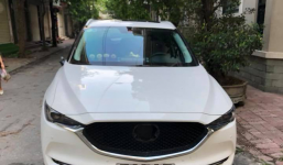 Trộm gương xưa rồi, bây giờ phải trộm theo combo: logo, gạt mưa, chữ hiệu... có gì thò ra là lấy hết