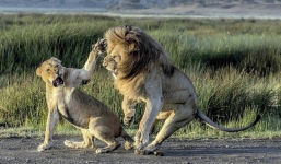 24h qua ảnh: Sư tử cái 'điên tiết' tát thẳng mặt bạn tình lúc cãi nhau