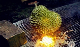 Mẹ lắc đầu khi con gái một mực đòi nướng sầu riêng nhưng không ngờ đây là món ngon ở nhà hàng sang chảnh