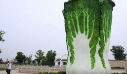 Những bức tượng độc đáo không giống ai chỉ có ở Trung Quốc