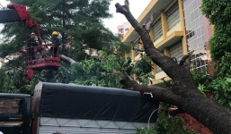 Mưa kèm gió mạnh ở Sài Gòn làm sập mái nhà, cây xanh ngã đè xe tải