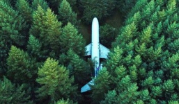 Chỉ chiếm 0,01\% sự sống trên Trái Đất, con người vẫn tận diệt phần còn lại một cách không thương tiếc