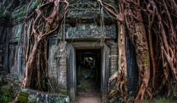 Đằng sau ngôi mộ máu của mưu sĩ Tam Quốc: Mộ tặc ngàn năm không dám xâm phạm vì sợ báo ứng