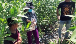 Vụ bé sơ sinh nghi bị chôn sống ở Bình Thuận: Một người phụ nữ xưng là mẹ, thừa nhận chôn con ở sau nhà