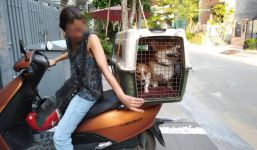 Người phụ nữ thuê chuyên gia chăm sóc chó 450k/ngày, 3 ngày sau đến đón thì thú cưng đã qua đời và nằm trong tủ lạnh