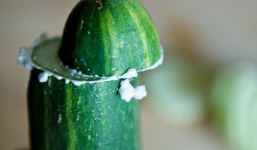 Nhiều người cắt dưa chuột xong chà chà thế này, biết lý do ai ai cũng sẽ làm theo