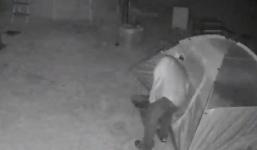 Con gái có kẻ theo dõi, bố lắp camera ở vườn nhà và phát hiện cảnh tượng đáng sợ