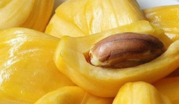 Mít thái tại vườn 5.000 đồng/kg, người tiêu dùng vẫn mua với giá cao gấp 4 lần