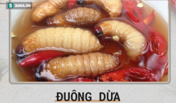 Những món ăn bạn thấy 'kinh dị' vô cùng nhưng người khác lại tấm tắc khen ngon