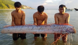 Người dân đổ xô xem cá hố rồng dài 3m bơi vào trước cổng đền