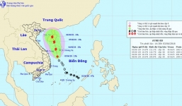 Ảnh hưởng của áp thấp nhiệt đới, Nam Bộ mưa dông trên diện rộng