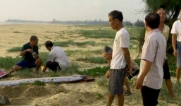 Cá hố rồng 'khủng' liên tiếp chết dạt bờ biển Quảng Bình