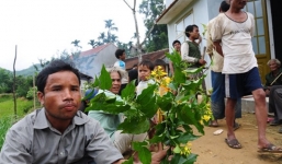 Không ngăn được bố bạo hành mẹ, con trai phẫn uất ăn lá ngón tự tử