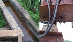 Mang nước ra đồng cho mẹ, bé trai bị điện giật chết