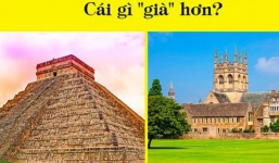 5 điều nghe có vẻ hư cấu nhưng lại hoàn toàn có thật, cái cuối cùng thực sự gây sốc