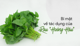 Loại cây dân dã được gọi là rau 'Hoàng hậu' nhờ 6 tác dụng tuyệt vời có thể bạn chưa biết