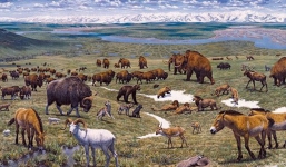 Thế giới trông sẽ như thế nào nếu con người chưa từng xuất hiện?