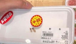 Hai chú mực một nắng to bằng con chấy có giá đến 4 triệu đồng trong siêu thị Nhật khiến dân mạng Việt xôn xao