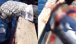 Nhóm ngư dân bị chỉ trích dữ dội vì săn bắt cá heo rồi đăng lên Facebook khoe