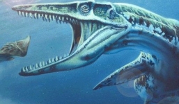 Một loài thủy quái đáng sợ đã ám ảnh người New Zealand và kết quả nghiên cứu lại khiến người dân không thể tin nổi