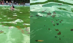 Giám đốc khu Khoang Xanh Suối Tiên nói về hình ảnh du khách vô tư tắm ở bể bơi kín chất bẩn