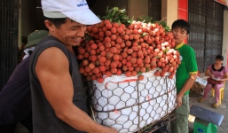 Về Bắc Giang thăm người dân Lục Ngạn trước thông tin 10 ngàn 3kg vải thiều: 'Làm gì có chuyện chúng tôi ném vải xuống sông'