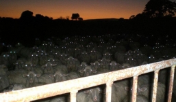 Những tấm hình này sẽ làm bạn đứng tim vì sợ hãi trước khi kịp hiểu thứ gì đang diễn ra