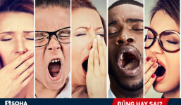 Ngủ 8 tiếng/ngày mới đúng? Con số 'chính xác' này sẽ khiến bạn phải suy nghĩ lại!
