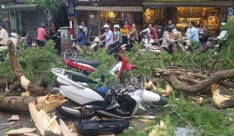 Hà Nội: Cây bất ngờ gãy đổ đè 5 người trên phố Quán Sứ, 2 người bị thương nặng
