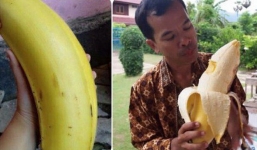 Ai cũng phải ngạc nhiên khi biết quả chuối to bằng cả cái đầu trong video này là có thật