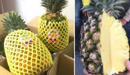 Dứa Đài Loan đắt gấp 30 lần dứa Việt gây 'sốt' thị trường