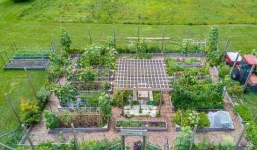 Dù chồng phản đối, vợ vẫn quyết ôm con về quê trồng rau và thành quả khiến mọi người mê mẩn