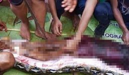 Mổ bụng trăn 8m, kinh hoàng phát hiện thi thể một phụ nữ Indonesia