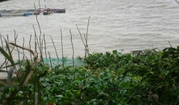 Tìm thấy thi thể người đàn ông nhảy cầu Mỹ Thuận tự tử nghi buồn chuyện gia đình